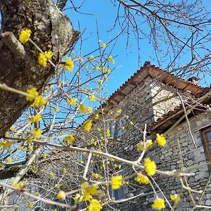 Bujtina Tusha Gasthof